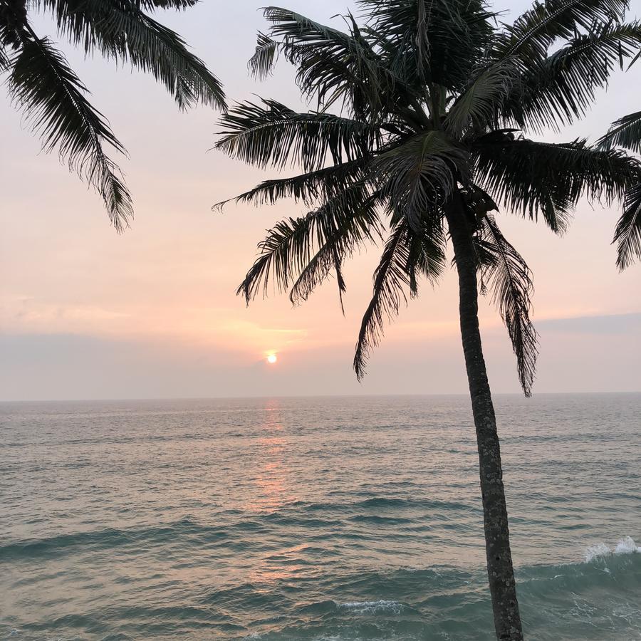 The Villa Varkala Extérieur photo